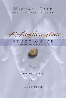bokomslag A Fragile Stone Study Guide