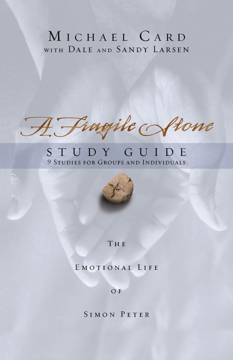A Fragile Stone Study Guide 1