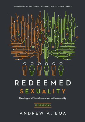 bokomslag Redeemed Sexuality  12 Sessions for Healing and Transformation in Community