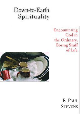 bokomslag Down-to-Earth Spirituality: Encountering God in the Ordinary, Boring Stuff of Life