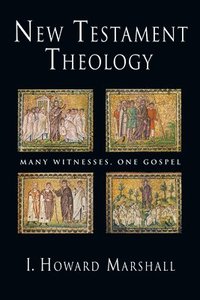 bokomslag New Testament Theology