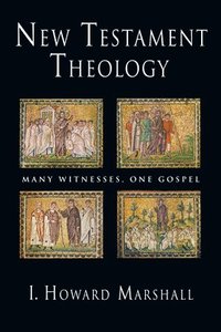 bokomslag New Testament Theology: Many Witnesses, One Gospel