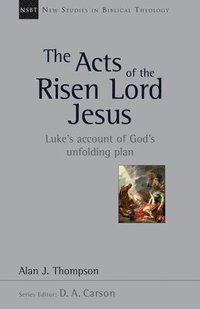 bokomslag The Acts of the Risen Lord Jesus: Luke's Account of God's Unfolding Plan Volume 27
