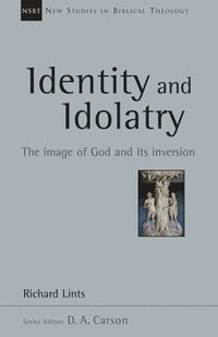 bokomslag Identity and Idolatry: The Image of God and Its Inversion