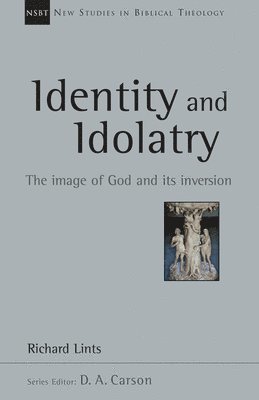 bokomslag Identity and Idolatry: The Image of God and Its Inversion