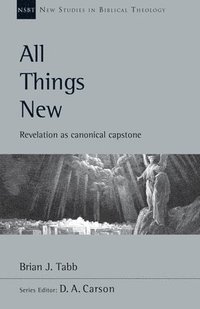 bokomslag All Things New: Revelation as Canonical Capstone Volume 48