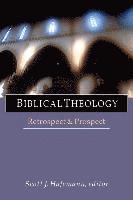 bokomslag Biblical Theology: Retrospect and Prospect