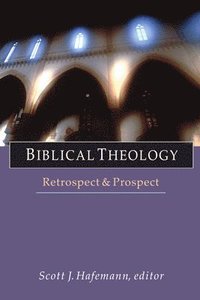 bokomslag Biblical Theology: Retrospect and Prospect