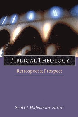 bokomslag Biblical Theology