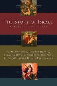 bokomslag The Story of Israel