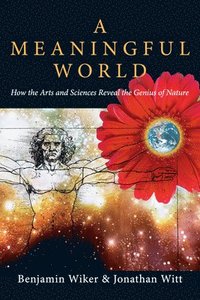 bokomslag Meaningful World â¿¿ How The Arts And Sciences Reveal The Genius Of Nature