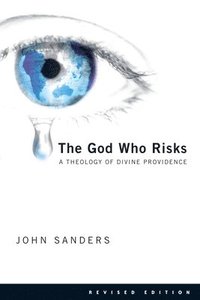 bokomslag The God Who Risks: A Theology of Divine Providence