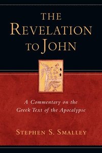 bokomslag The Revelation to John: A Commentary on the Greek Text of the Apocalypse