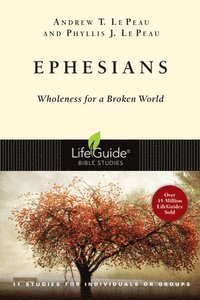 bokomslag Ephesians: Wholeness for a Broken World