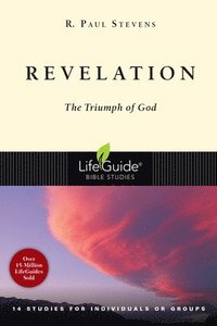 bokomslag Revelation: The Triumph of God