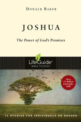 Donald Baker - Joshua: The Power of God's Promise, Häftad