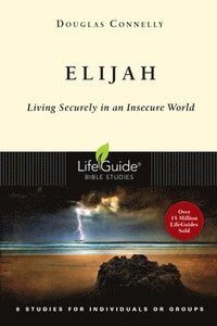 bokomslag Elijah: Living Securely in an Insecure World