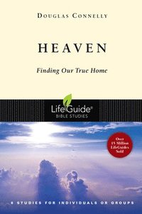 bokomslag Heaven: Finding Our True Home