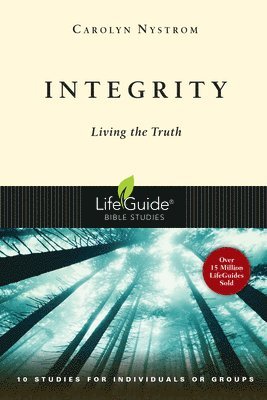 bokomslag Integrity