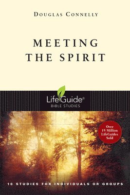 Douglas Connelly - Meeting the Spirit, Häftad