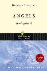 bokomslag Angels: Standing Guard