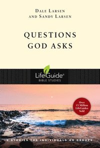 bokomslag Questions God Asks