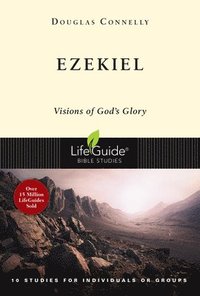 bokomslag Ezekiel: Visions of God's Glory