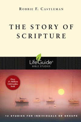 bokomslag The Story of Scripture