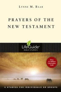 bokomslag Prayers of the New Testament: 8 Studies for Individuals or Groups