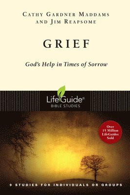 Cathy Gardner Maddams, James W. Reapsome - Grief, Häftad