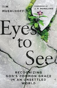 bokomslag Eyes to See - Recognizing God`s Common Grace in an Unsettled World