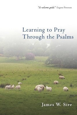 bokomslag Learning To Pray Through The Psalms