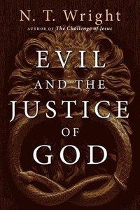 bokomslag Evil and the Justice of God