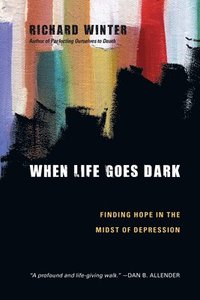 bokomslag When Life Goes Dark  Finding Hope in the Midst of Depression