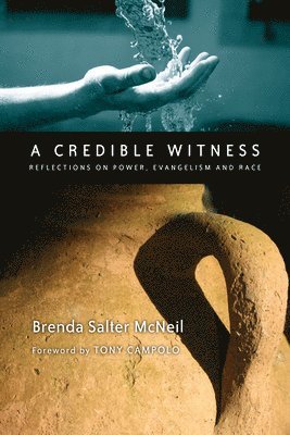 bokomslag A Credible Witness