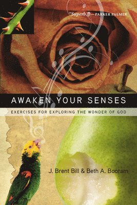 Bill, J. Brent Bill, Beth A. Booram - Awaken Your Senses, Häftad