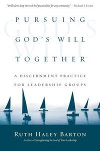 bokomslag Pursuing God`s Will Together - A Discernment Practice for Leadership Groups