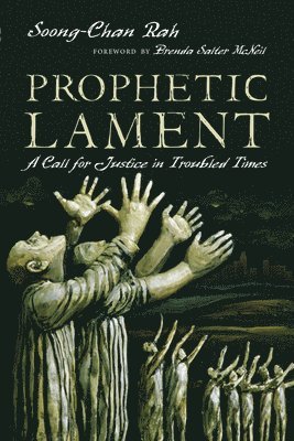 bokomslag Prophetic Lament - A Call for Justice in Troubled Times