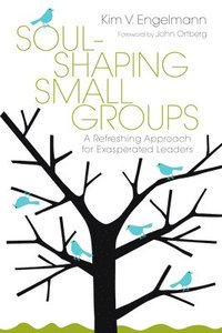 bokomslag Soul-Shaping Small Groups: A Refreshing Approach for Exasperated Leaders
