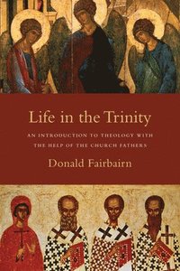 bokomslag Life in the Trinity - An Introduction to Theology with the Help of the Church Fathers