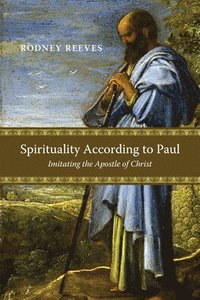 bokomslag Spirituality According to Paul