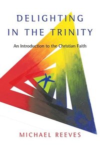 bokomslag Delighting in the Trinity: An Introduction to the Christian Faith