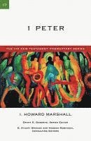 bokomslag 1 Peter: Volume 17