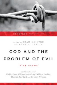 bokomslag God and the Problem of Evil  Five Views
