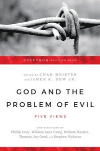 bokomslag God and the Problem of Evil - Five Views