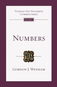 bokomslag Numbers: An Introduction and Commentary Volume 4