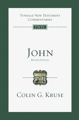 bokomslag John: An Introduction and Commentary