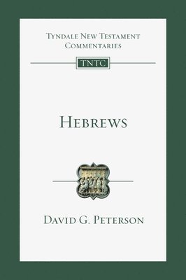 Hebrews: Volume 15 1