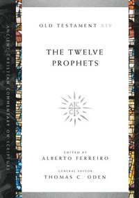 bokomslag The Twelve Prophets