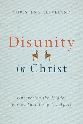 bokomslag Disunity in Christ - Uncovering the Hidden Forces that Keep Us Apart